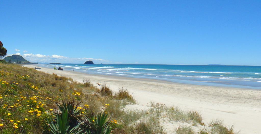 Blue Wave Motel Mt Maunganui Mount Maunganui Exterior photo