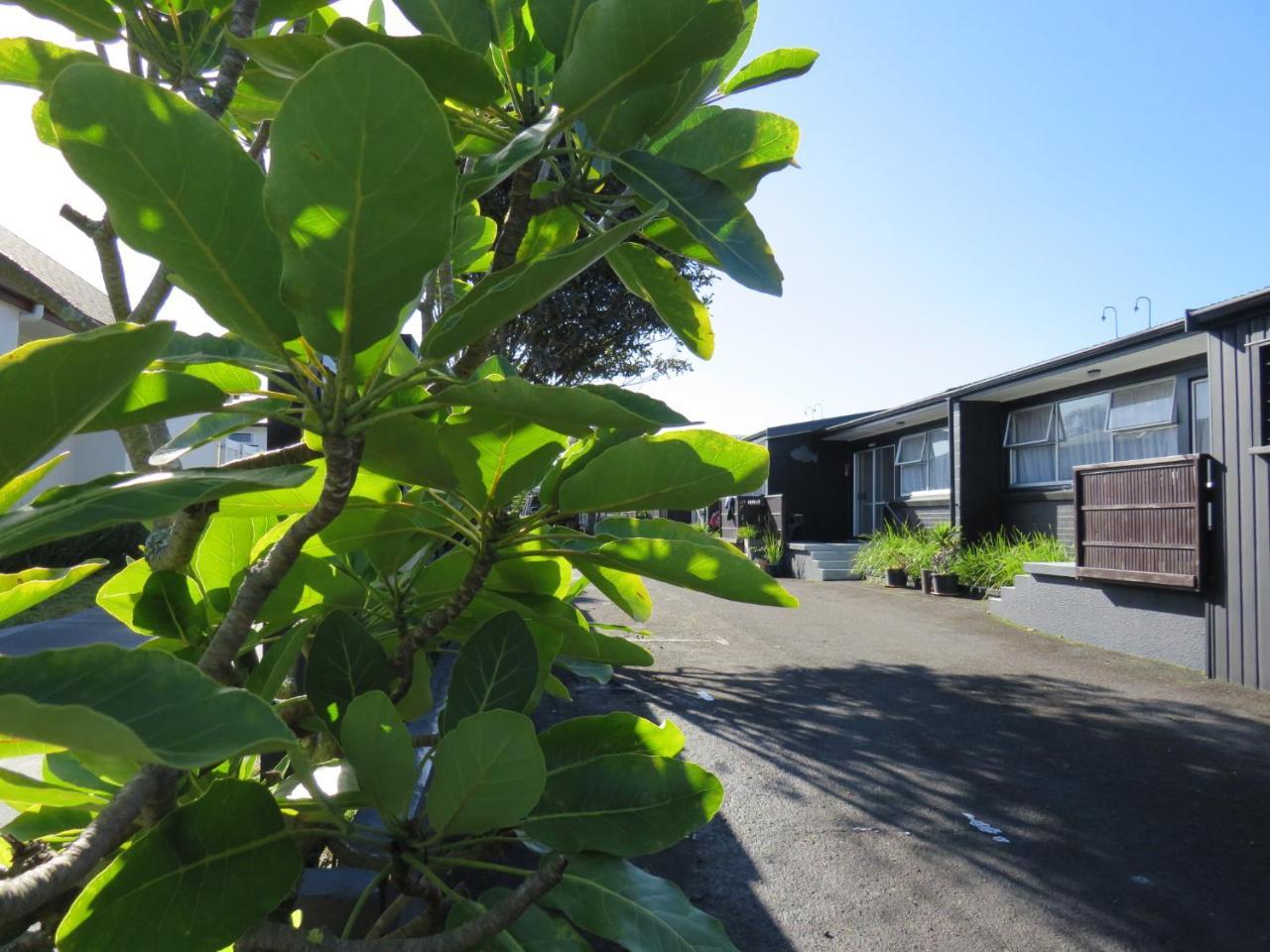 Blue Wave Motel Mt Maunganui Mount Maunganui Exterior photo